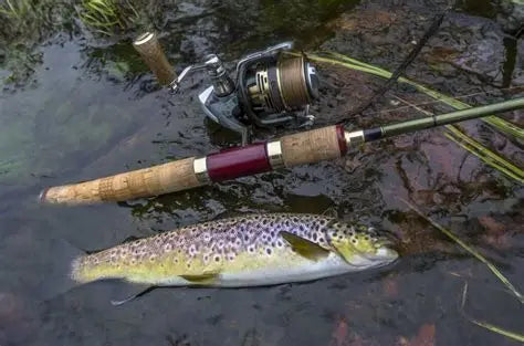Best Spinning Reels for Trout Fishing in 2027